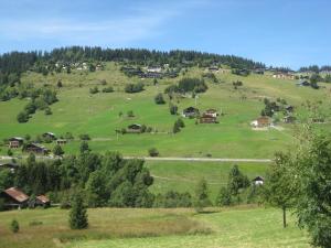 Appart'hotels La Ferme des Georgieres : photos des chambres