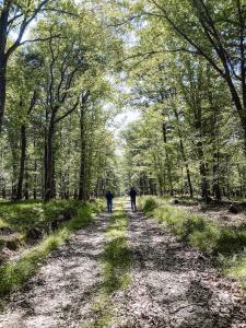 Sejours a la campagne Le Val Suzenay : photos des chambres