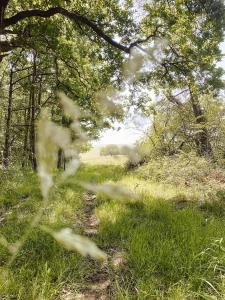 Sejours a la campagne Le Val Suzenay : photos des chambres