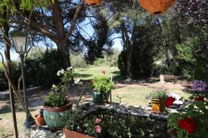 A Lorée Des Cévennes