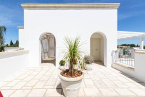 Quadruple Room with Terrace