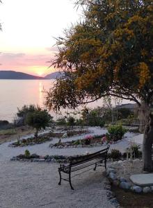 Sylvia's houses Kalymnos Greece