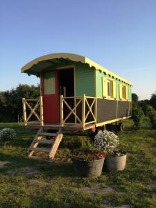 B&B / Chambres d'hotes La roulotte MAGIC ! des Grillots : photos des chambres