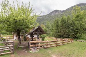 Lizina hiška House Bohinj