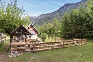 Lizina hiška House Bohinj - 班斯卡比斯特里察