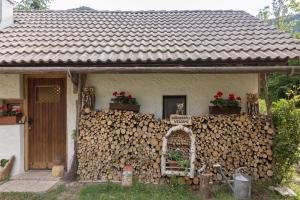 Lizina hiška House Bohinj 