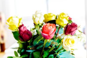 Apartment Le rose di Marianne - ovest