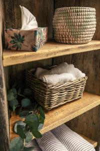 Treehouse Stvořidla