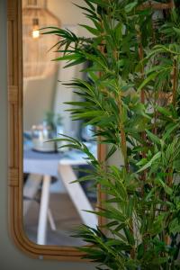 Beach Bungalow Ohana - private garden - close to local Lake, Dunes and Beach