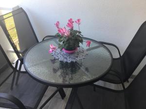 Apartman Sanja