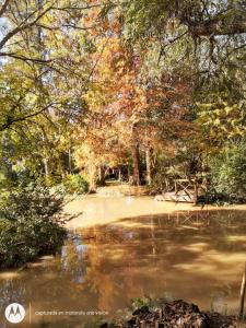 Cabañas Aqui y Ahora