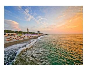 Studio "Black - White"