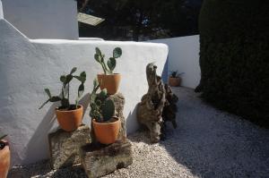 Maisons de vacances Le Mas des Tremaie : photos des chambres