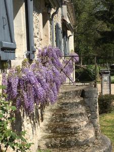 Maisons de vacances The Mill at Montcaret with pool : photos des chambres