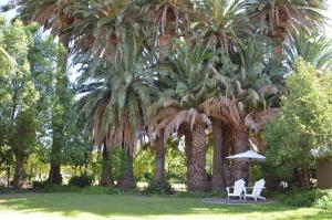 B&B Sauvignon Country Lodge