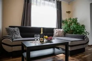 Leśny Azyl Bory Tucholskie - Piaseczno