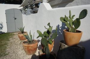 Le Mas des Trémaïé