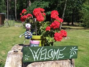 Le Chalet Des Pins photo 9