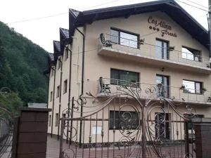 Pensiunea Cosalina Grande - Poiana Uzului