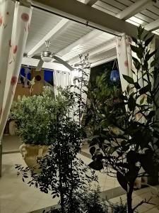 Domos Le Due Tuie img15