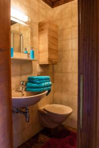 Hansbauer Appartments