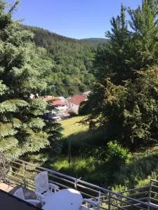 Luftkurort, Perle des Neckartals - Эбербах