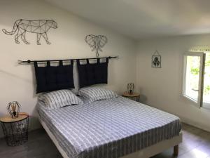 Villas Le Jacaranda : photos des chambres