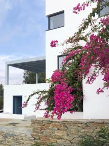 Blue Frames Summer House Andros Greece