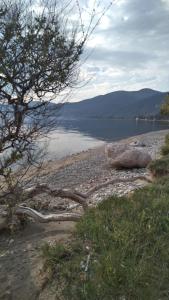Georgiou Apartments Evia Greece