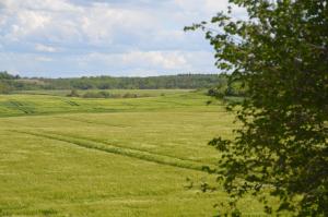 Ferienwohnung mit Blick auf die Burg Stargard