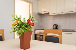 Apartments Villa Ana