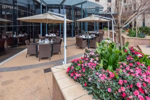 City Lodge Hotel Hatfield, Pretoria