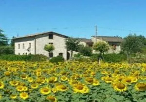 Agriturismo"Il Sagrato di Assisi" appartamenti,camere - Castelnuovo