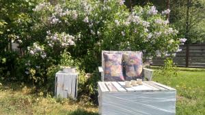 Agroturystyka SZYSZKA