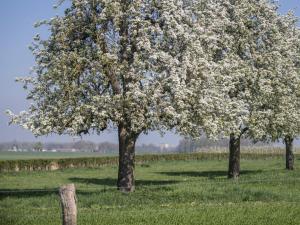 Holiday Home Bungalowpark Landsrade-1 by Interhome