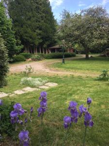 Maisons de vacances Le gite du Val : photos des chambres