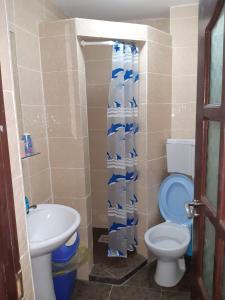 Pension Bran Ioana& SPA