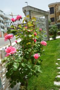 B&B La Rosa dei Venti