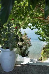 Evia Mare Suites Evia Greece