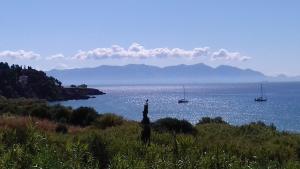 Margarita House Messinia Greece