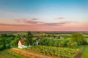 Village Wine House - Našice