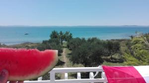 Vacation Home Katarina