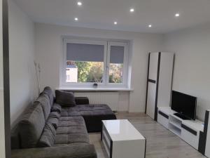 Apartament Comfort