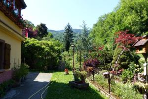 Appartements Gite aux Sapins : photos des chambres