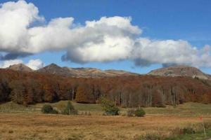 Appartements Magnifique et lumineux appartement au coeur du Sancy : photos des chambres