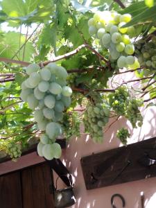 Belli come il Sole img35