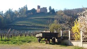 Appartements Entre Histoire et Terroir - 2 Gites de Charme : Appartement avec Vue sur la Montagne