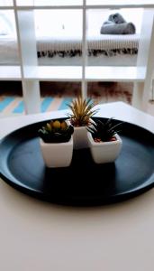 Cosy&White apartment in Daugavpils