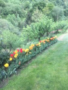 B&B Villa Plaz