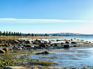 The Bluff Resort Apartments